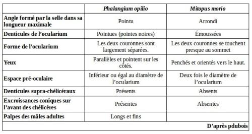Indéterminé